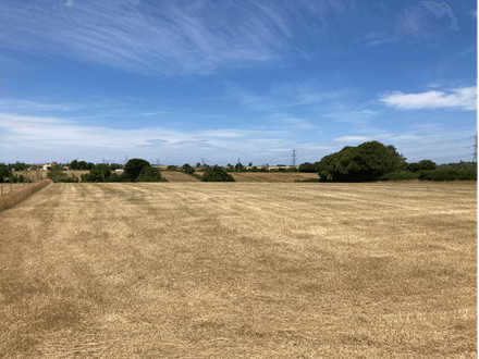 Lot 2: Land at Goathurst
