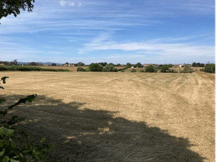 Lot 1: Land At Goathurst