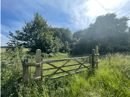 Pentagon Copse, Fawley 