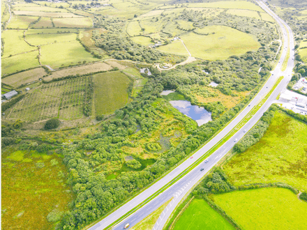 Trewint Marsh, Altarnun, Launceston, Cornwall, PL15 7TF
